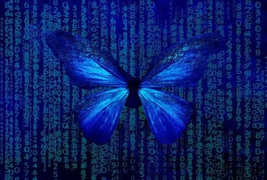 蝴蝶效应是什么意思？
