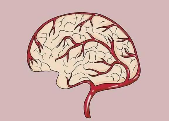 脑供血不足的症状表现具体有哪些？