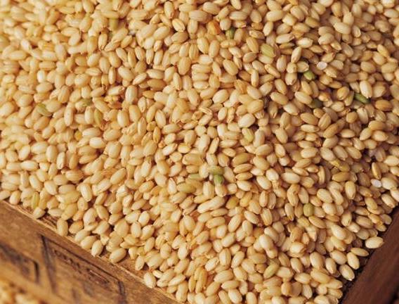 糙米是什么米?