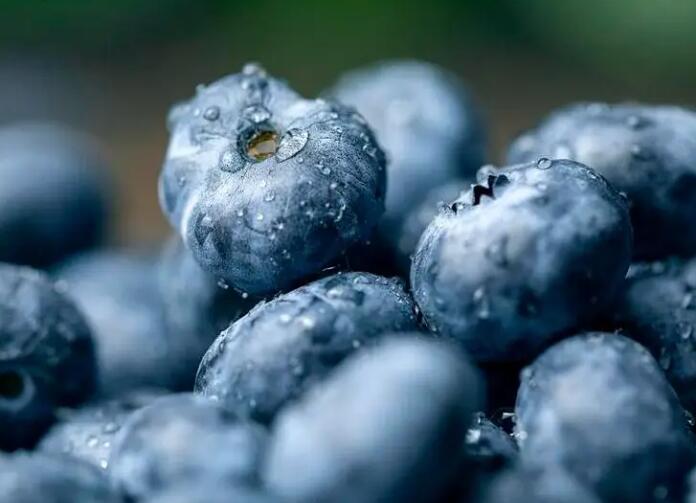 蓝莓有什么功效和作用？
